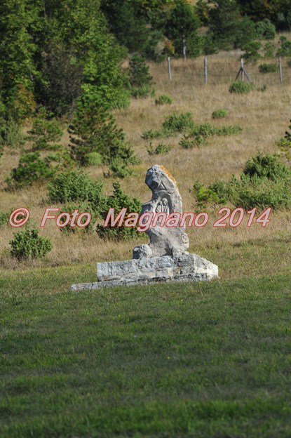 DSC_9453.JPG